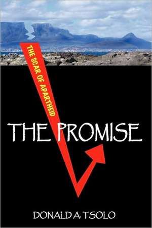 The Promise de Donald A. Tsolo