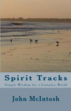 Spirit Tracks de John McIntosh