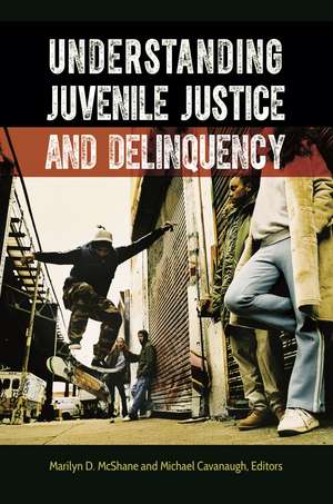 Understanding Juvenile Justice and Delinquency de Marilyn D. McShane