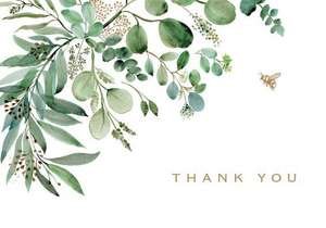 Eucalyptus Thank You Note Cards (14 Cards, 15 Self-Sealing Envelopes)