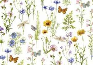 Wildflower Garden Note Cards (14 Cards, 15 Self-Sealing Envelopes) de Ann Johnston