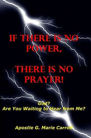 If There Is No Power There Is No Prayer de Apostle G. Marie Carroll