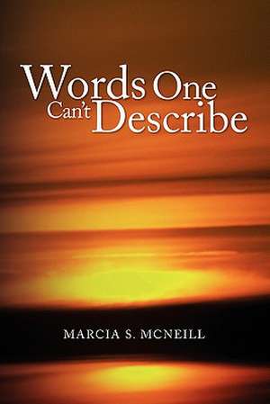 Words One Can't Describe de Marcia S. McNeill