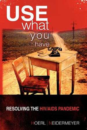 Use What You Have de Roger W. Hoerl and Presha E. Neidermeyer