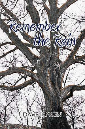 Remember the Rain de Dave Jensen