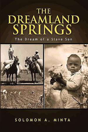 The Dreamland Springs de Solomon A. Minta