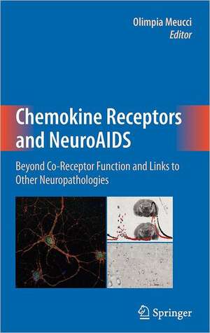 Chemokine Receptors and NeuroAIDS: Beyond Co-Receptor Function and Links to Other Neuropathologies de Olimpia Meucci