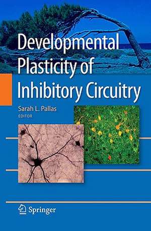 Developmental Plasticity of Inhibitory Circuitry de Sarah L. Pallas