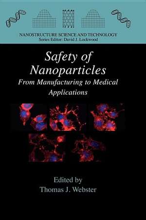 Safety of Nanoparticles: From Manufacturing to Medical Applications de Thomas J. Webster