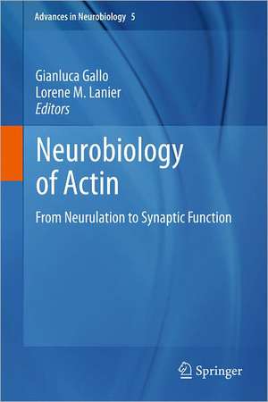 Neurobiology of Actin: From Neurulation to Synaptic Function de Gianluca Gallo