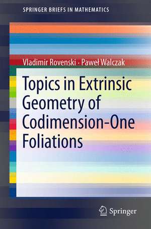 Topics in Extrinsic Geometry of Codimension-One Foliations de Vladimir Rovenski