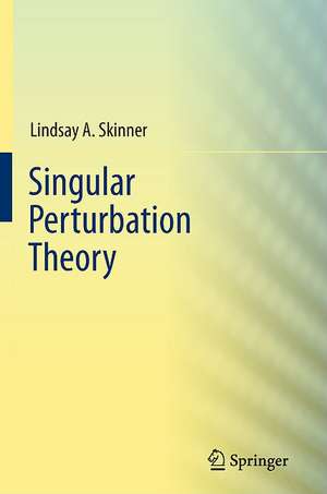 Singular Perturbation Theory de Lindsay A. Skinner