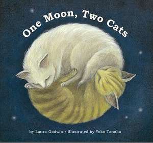 One Moon, Two Cats de Laura Godwin