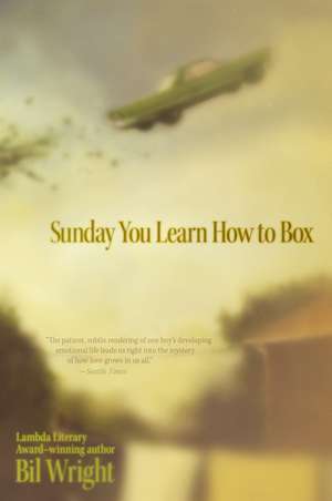 Sunday You Learn How to Box de Bil Wright