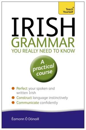 Irish Grammar You Really Need to Know: Teach Yourself de Eamonn O'Donaill