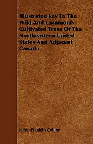 Illustrated Key to the Wild and Commonly Cultivated Trees of the Northeastern United States and Adjacent Canada de James Franklin Collins