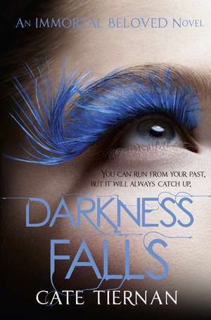 Darkness Falls (Immortal Beloved Book Two) de Cate Tiernan