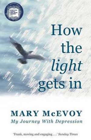 How The Light Gets In de Mary Mcevoy