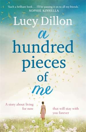 A Hundred Pieces of Me de Lucy Dillon