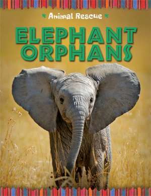 Animal Rescue: Elephant Orphans de Clare Hibbert