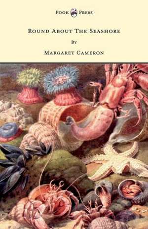 Round about the Seashore - With Eight Coloured Pictures de Margaret Cameron