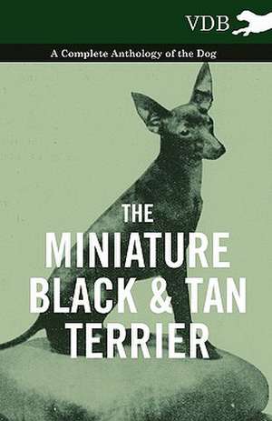 The Miniature Black and Tan Terrier - A Complete Anthology of the Dog de various