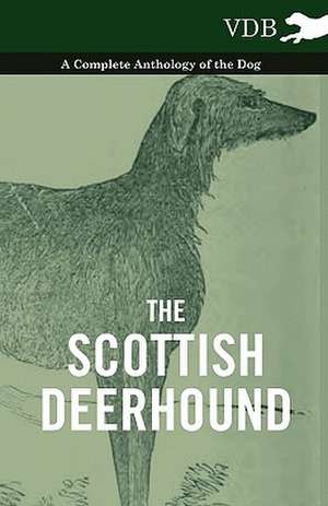 The Scottish Deerhound - A Complete Anthology of the Dog de various