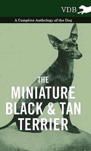 The Miniature Black and Tan Terrier - A Complete Anthology of the Dog de various