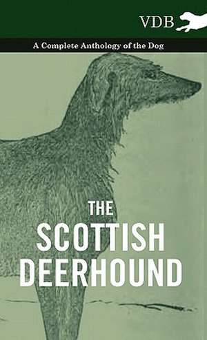 The Scottish Deerhound - A Complete Anthology of the Dog de various