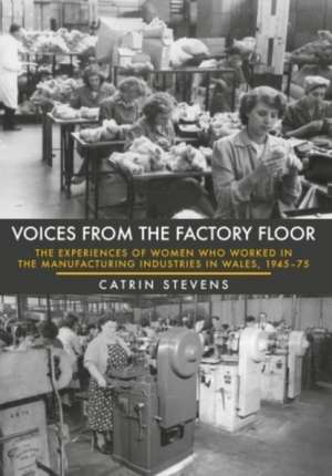 Voices from the Factory Floor de Catrin Stevens