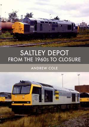 Saltley Depot de Andrew Cole