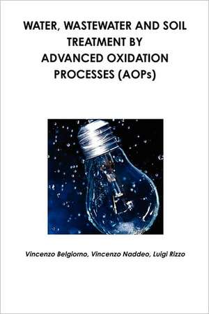 Water, Wastewater and Soil Treatment by Advanced Oxidation Processes (Aops): The Secret of Using Pulse to Achieve Relaxation de Vincenzo Naddeo