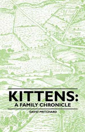 Kittens de David Pritchard