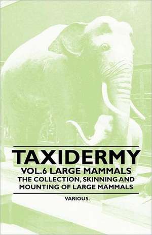 Taxidermy Vol.6 Large Mammals - The Collection, Skinning and Mounting of Large Mammals de Various