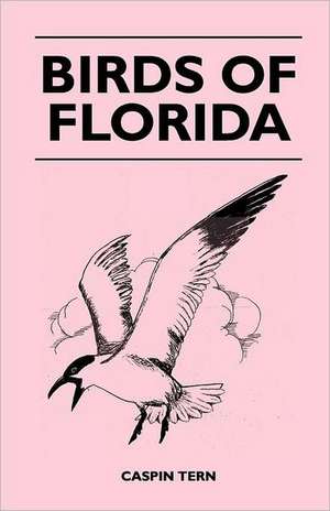 Birds of Florida de Caspin Tern