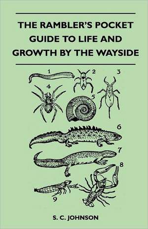 The Rambler's Pocket Guide to Life and Growth by the Wayside de S. C. Johnson