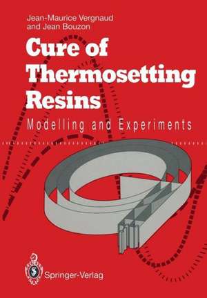 Cure of Thermosetting Resins: Modelling and Experiments de Jean-Maurice Vergnaud