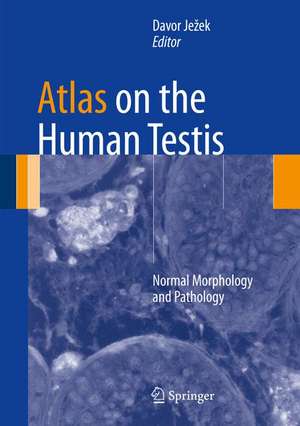 Atlas on the Human Testis: Normal Morphology and Pathology de Davor Ježek