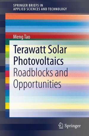 Terawatt Solar Photovoltaics: Roadblocks and Opportunities de Meng Tao