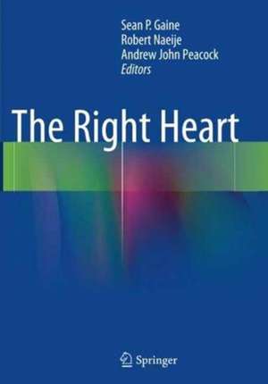 The Right Heart de Sean P. Gaine