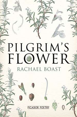 Pilgrim's Flower de Rachael Boast