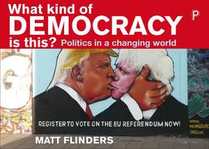 What Kind of Democracy Is This?: Politics in a Changing World de Matt Flinders