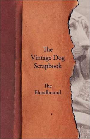 The Vintage Dog Scrapbook - The Bloodhound de various