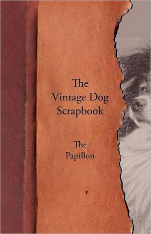 The Vintage Dog Scrapbook - The Papillon de various