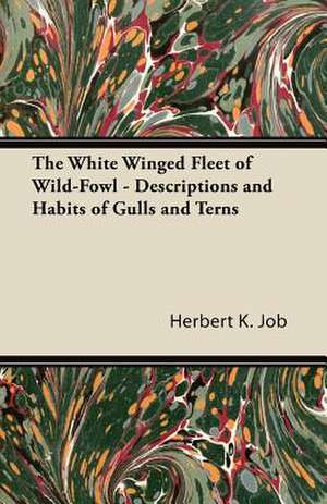 The White Winged Fleet of Wild-Fowl - Descriptions and Habits of Gulls and Terns de Herbert K. Job