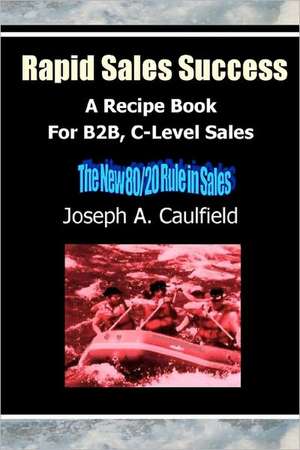 Rapid Sales Success: A Recipe Book for B2B, C-Level Sales de Joseph A. Caulfield