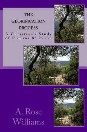 The Glorification Process de A. Rose Williams