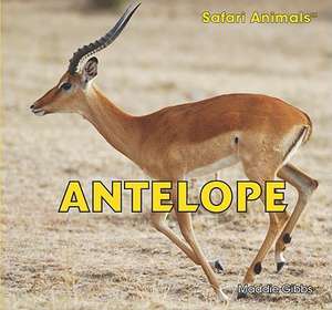 Antelope de Maddie Gibbs