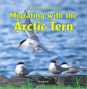 Migrating with the Arctic Tern de Thessaly Catt