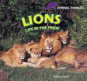 Lions: Life in the Pride de Willow Clark